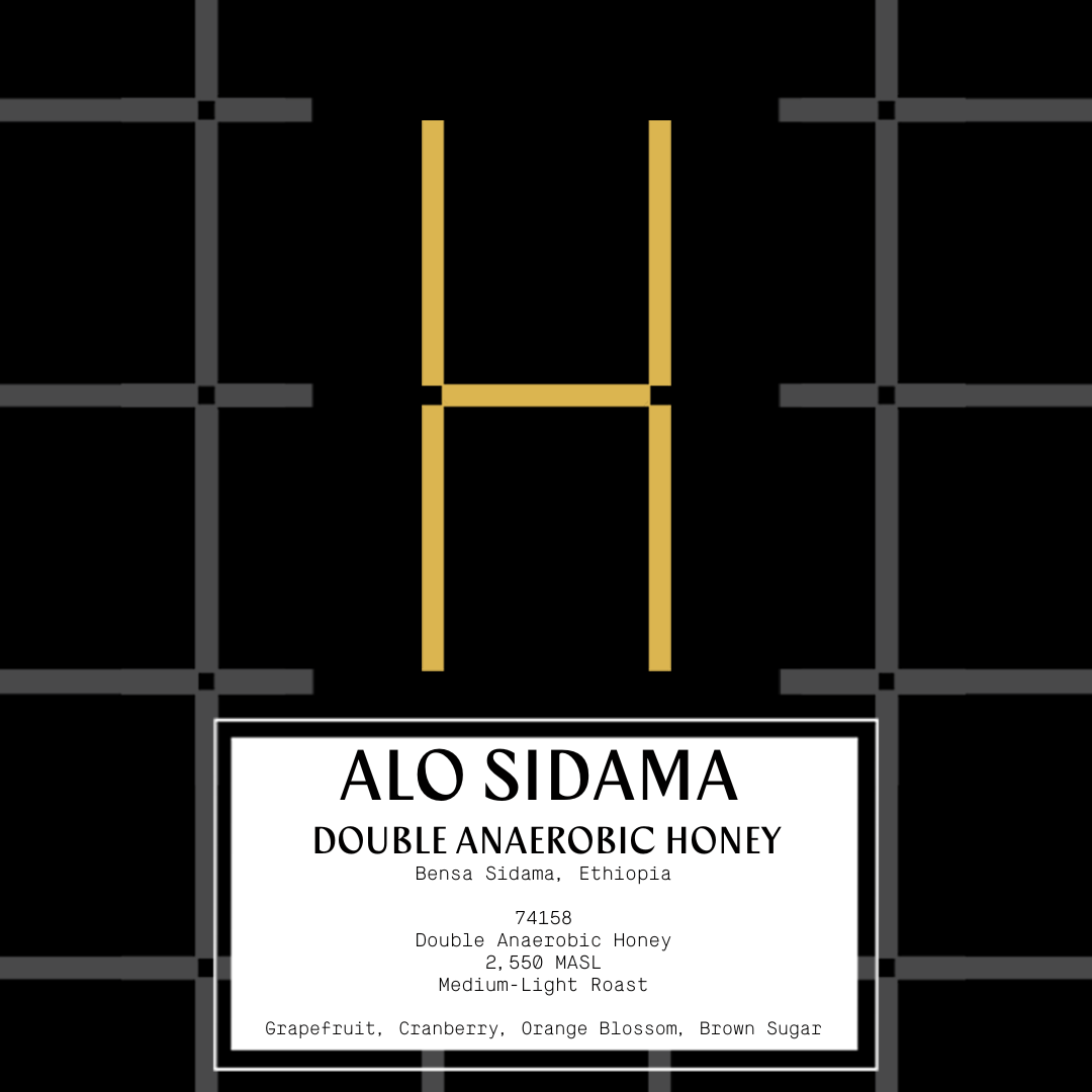Ethiopia Alo Sidama - Double Anaerobic Honey