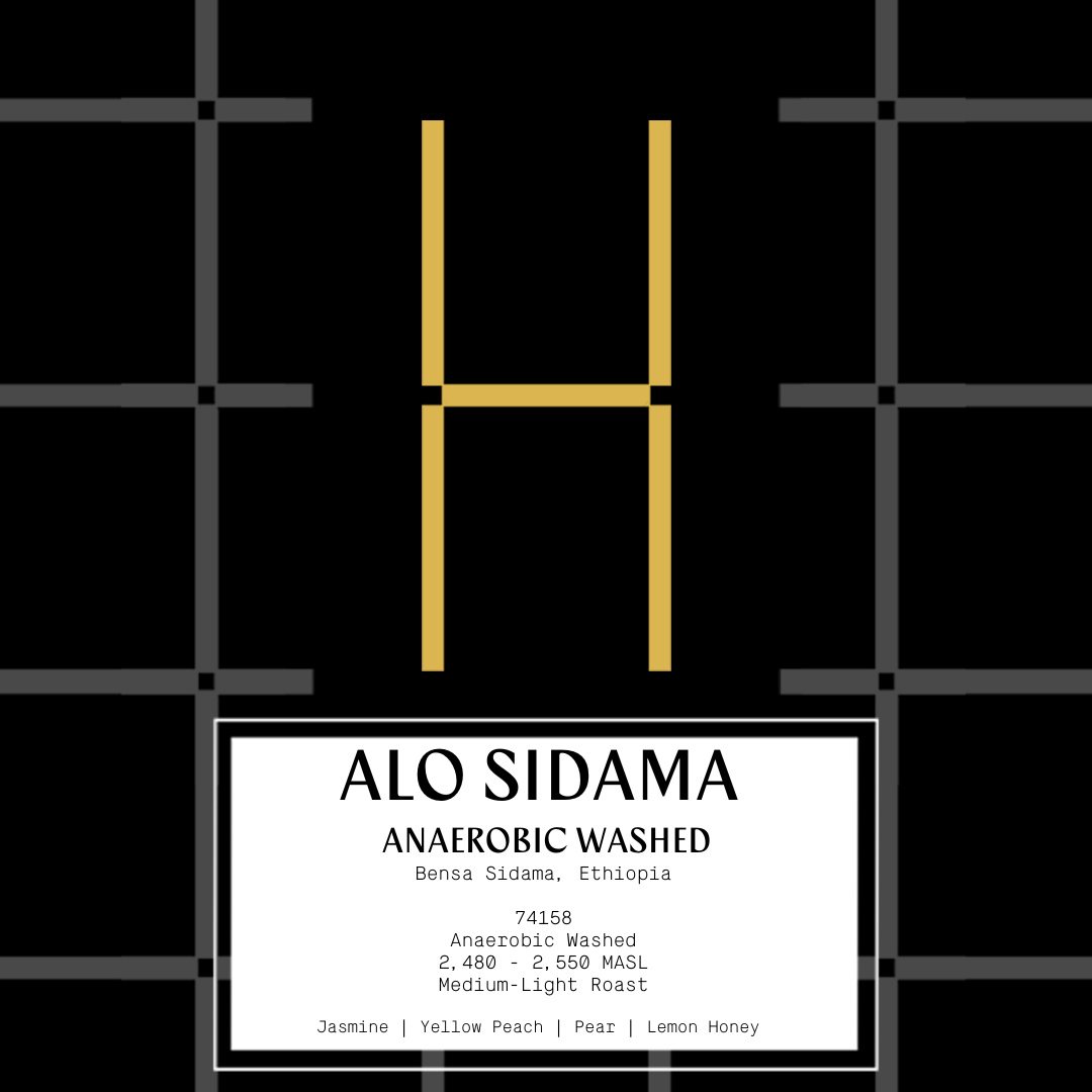 Ethiopia Alo Sidama - Anaerobic Washed