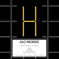 Ethiopia Alo Morkie