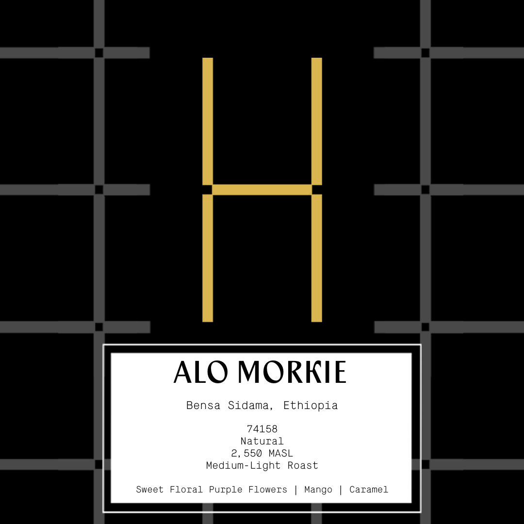 Ethiopia Alo Morkie