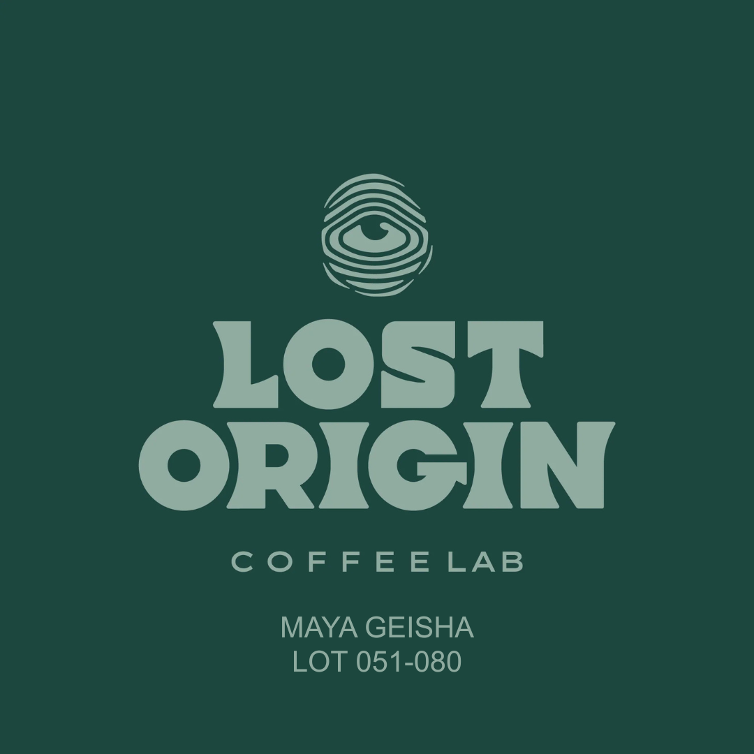 Lost Origin Coffee Lab - Maya Gesha Lot 051-080