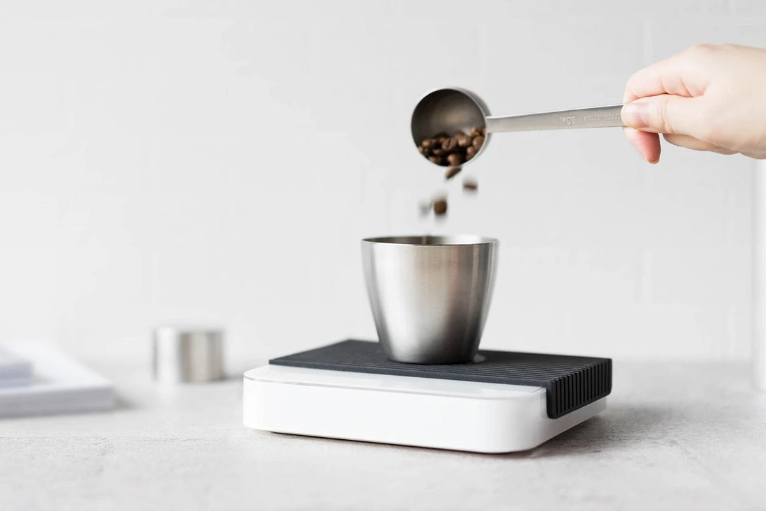 Acaia Pearl 2024