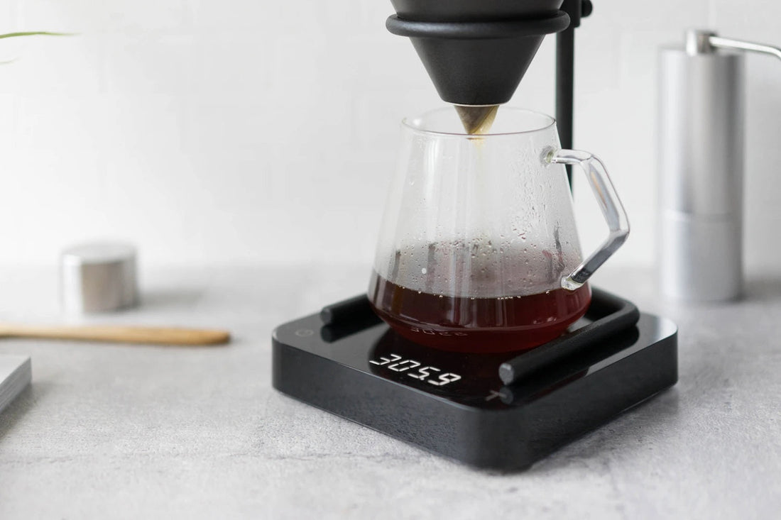 Acaia Pearl 2024