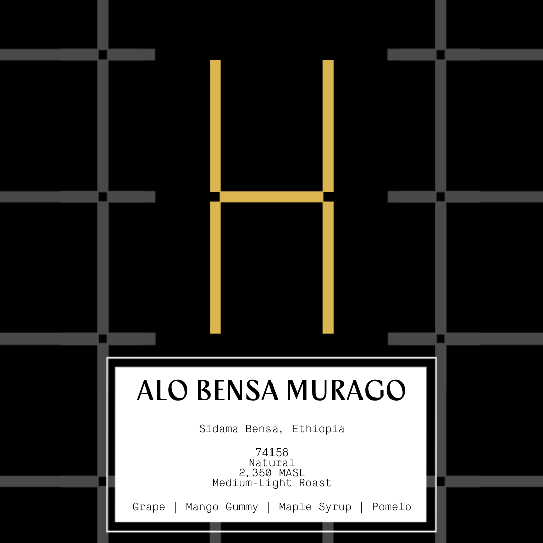 Ethiopia Alo Bensa Murago