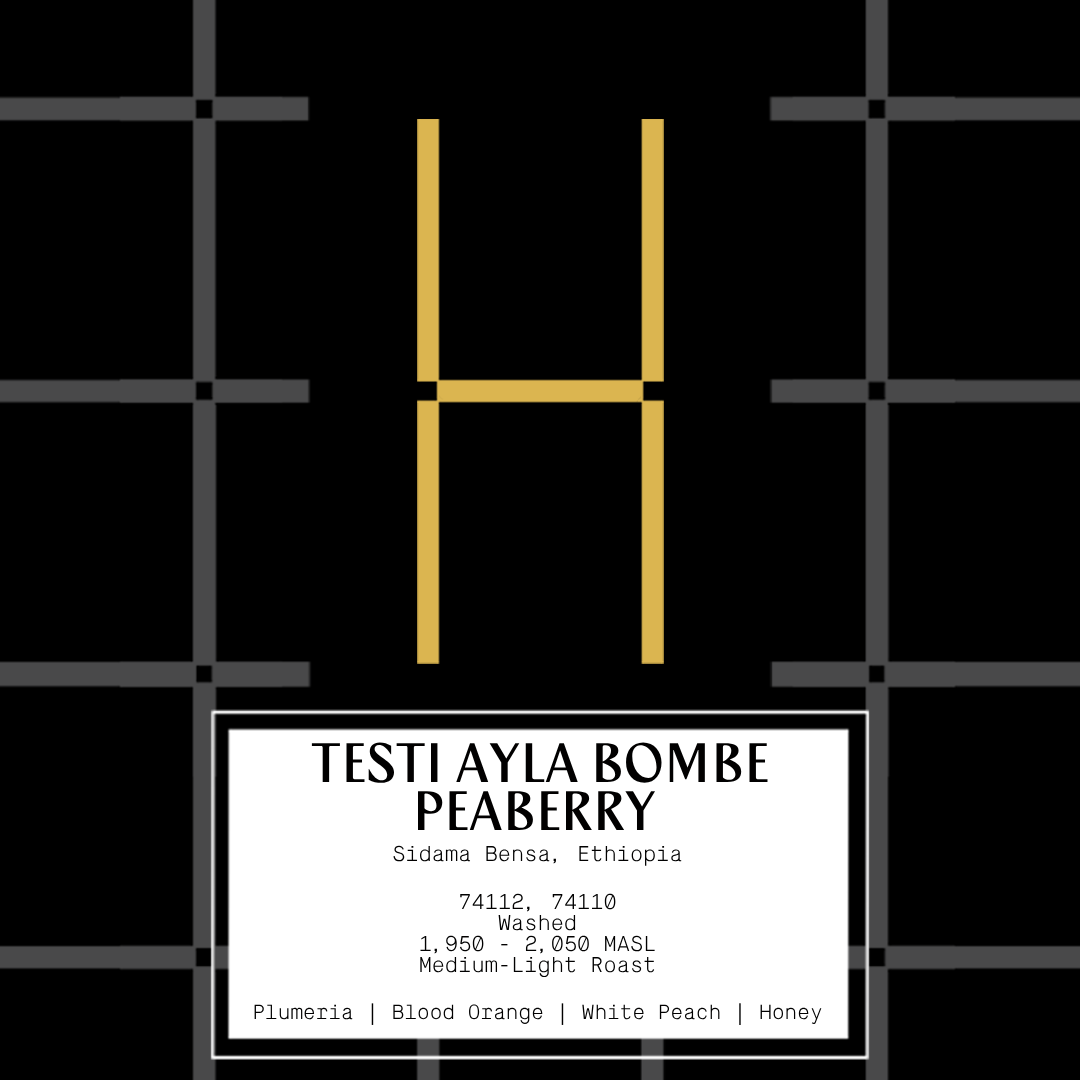 Testi Ayla Bombe Peaberry
